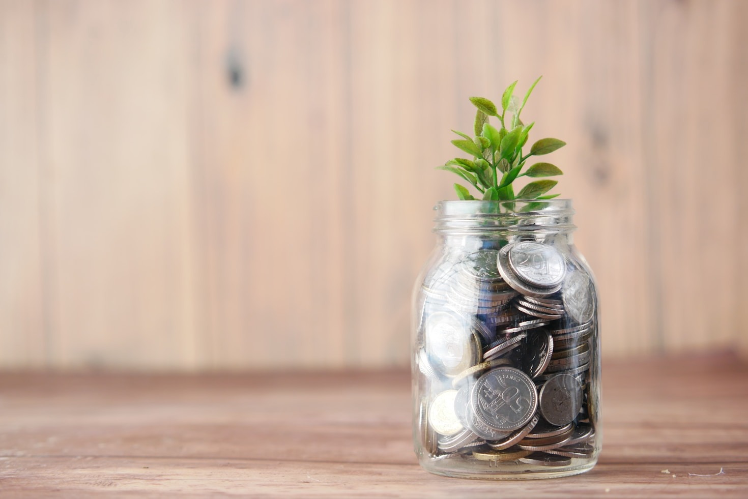 Cinco passos essenciais para organizar suas finanças